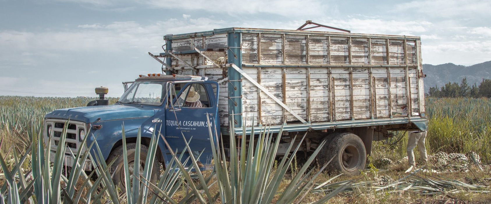 ARTENOM TEQUILA SELECCIÓN DE 1123 BLANCO HISTÓRICO 0,7l