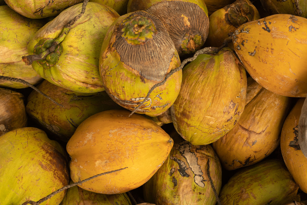 Kalani Coconut Liqueur 0,7L